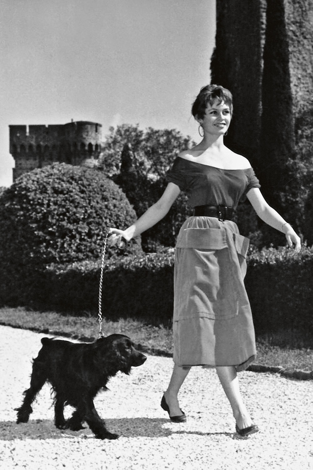 Lisa's World: 11 Gorgeous Photos Of Hollywood Movie Dogs