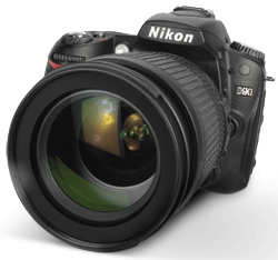 Nikon D90 - bargain DSLR camera