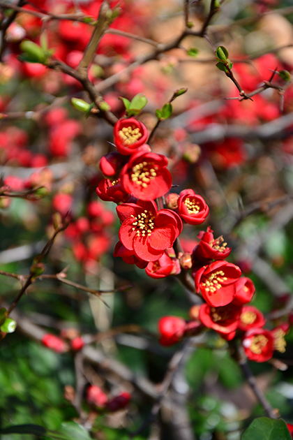 Nikon D7100 sample image 3