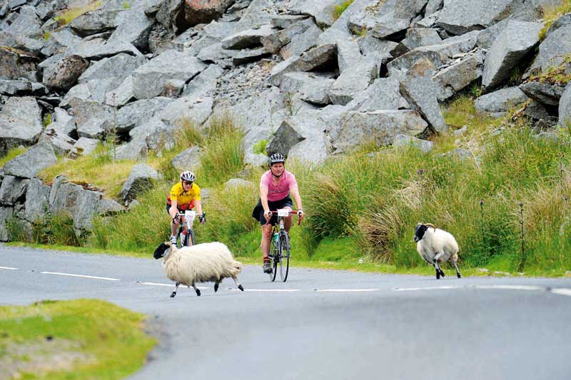 cyclo sportive, britsh sportive, 2009