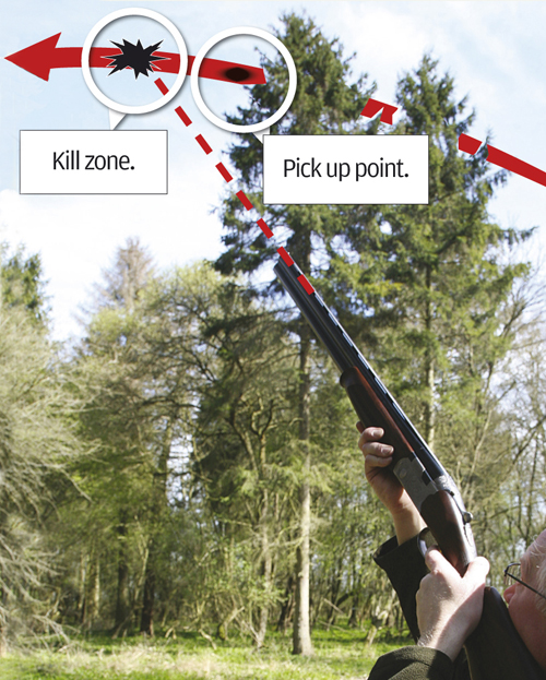 Clay pigeon shooting tips for beginners and more