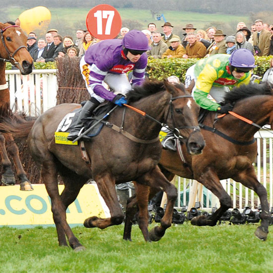 The town is famous for it's world-renowed racecourse which hosts the four-day Cheltenham Festival, featuring the Cheltenham Gold Cup \ Trevor Meeks